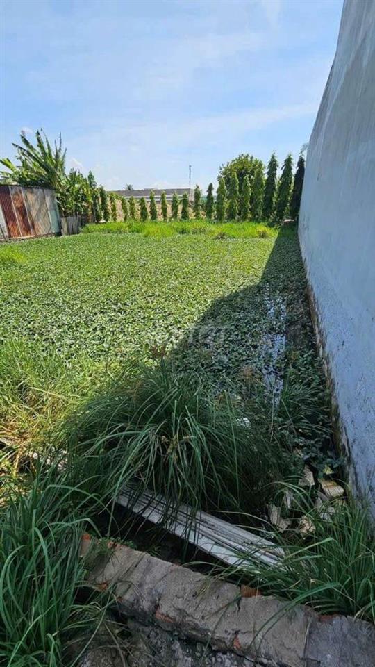 Bất động sản tại Long An - ảnh 1