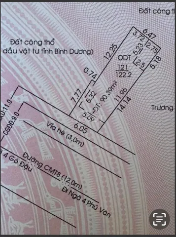 Bất động sản tại Bình Dương - ảnh 1