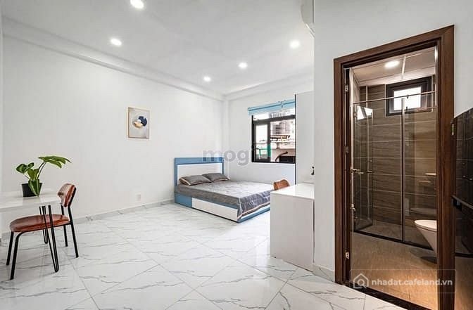 Bất động sản tại TP. Hồ Chí Minh - ảnh 1