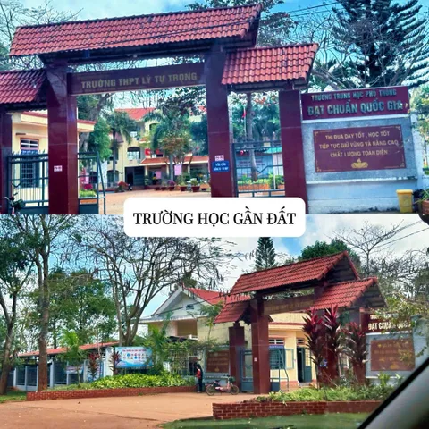 Bất động sản tại Đắk Lắk - ảnh 1