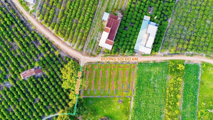 Bất động sản tại Tây Ninh - ảnh 1
