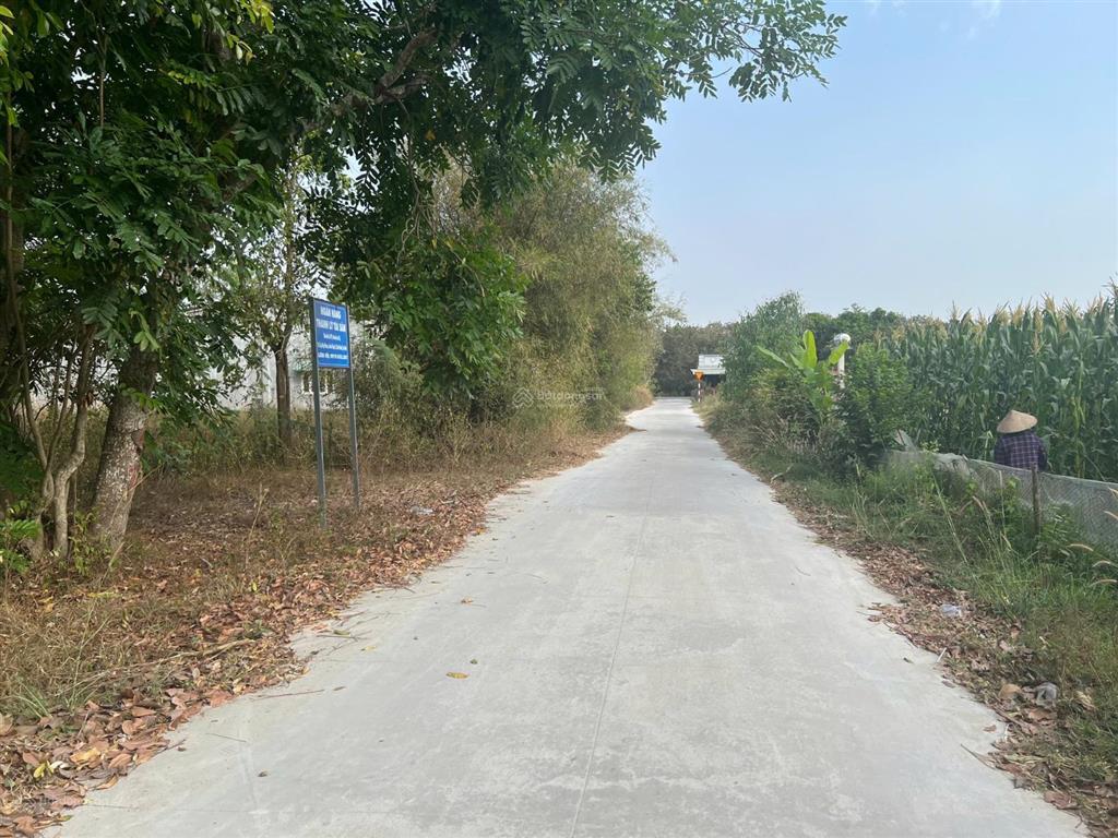 Bất động sản tại Tây Ninh - ảnh 1