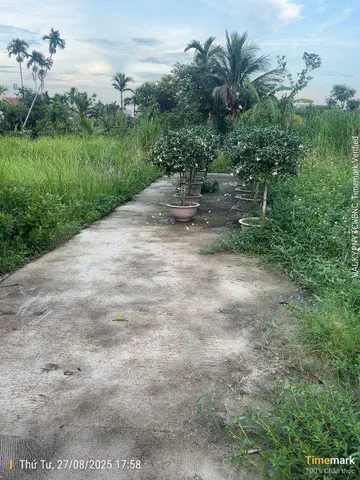 Bất động sản tại Hải Phòng - ảnh 1