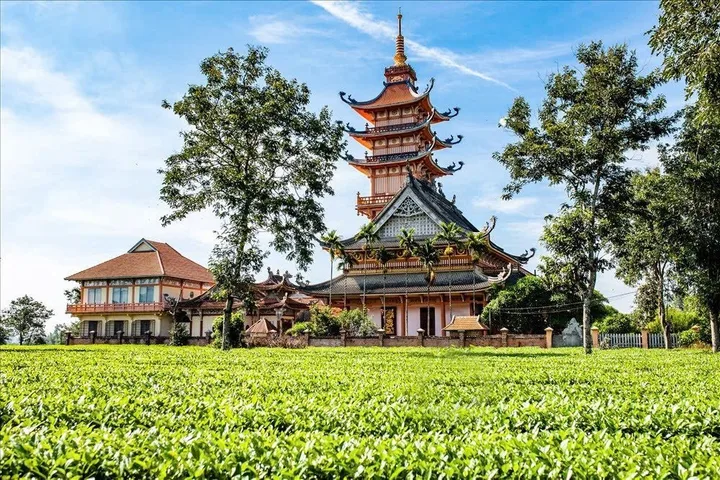 Bất động sản tại Gia Lai - ảnh 1