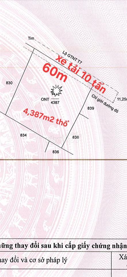 Bất động sản tại Long An - ảnh 1