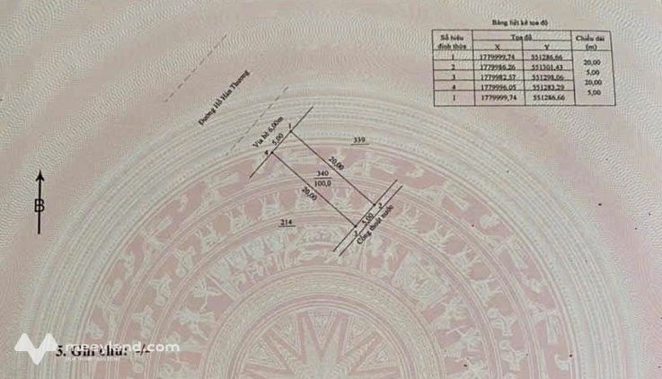 Bất động sản tại Đà Nẵng - ảnh 1