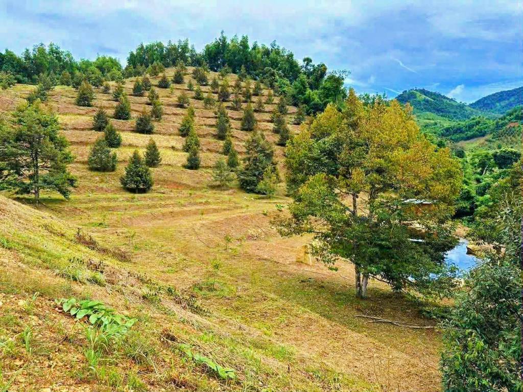 Bất động sản tại Khánh Hòa - ảnh 1