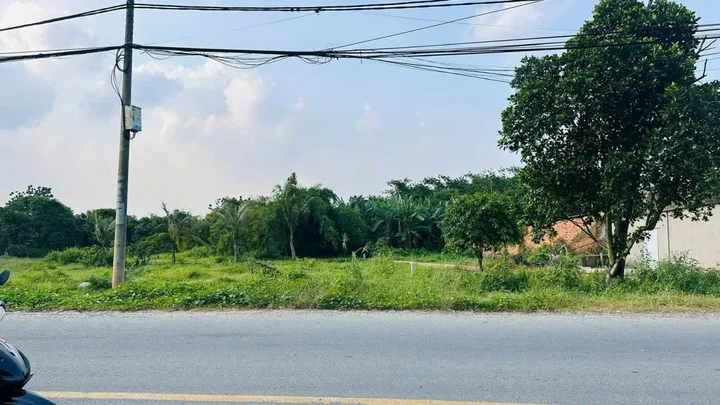 Bất động sản tại TP. Hồ Chí Minh - ảnh 1