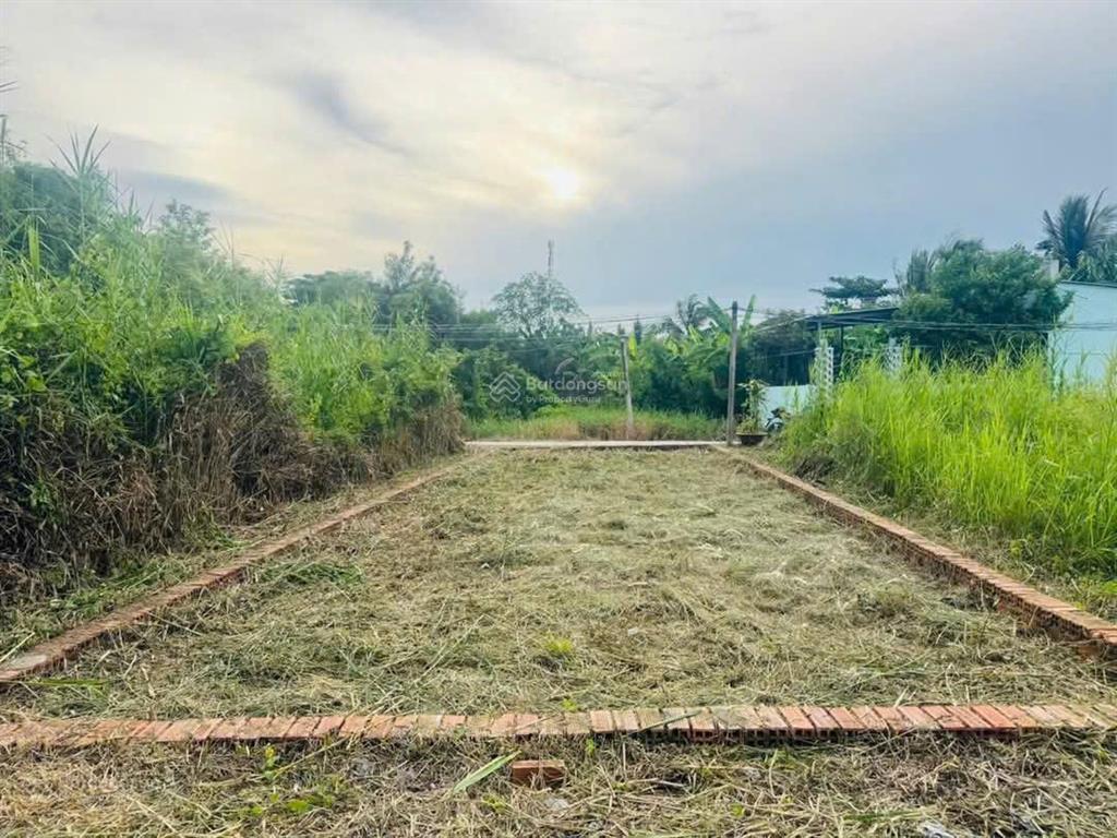 Bất động sản tại Long An - ảnh 1