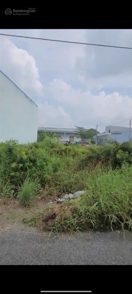 Bất động sản tại Long An - ảnh 1