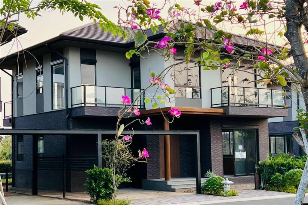 Bất động sản tại Long An - ảnh 1