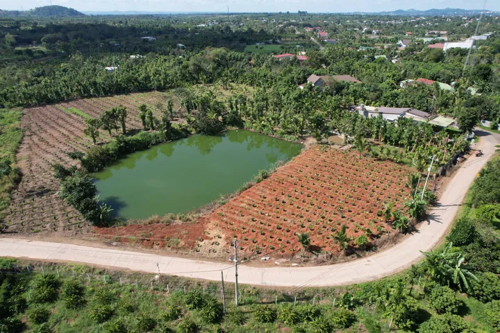 Bất động sản tại Đắk Lắk - ảnh 1