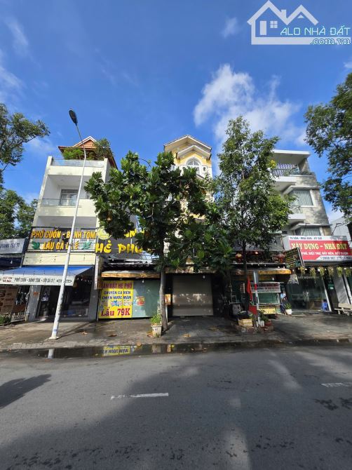 Bất động sản tại Bình Dương - ảnh 1