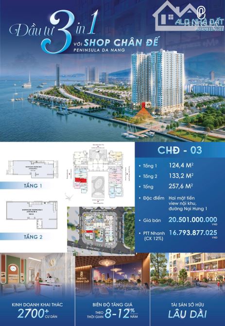 Bất động sản tại Đà Nẵng - ảnh 1