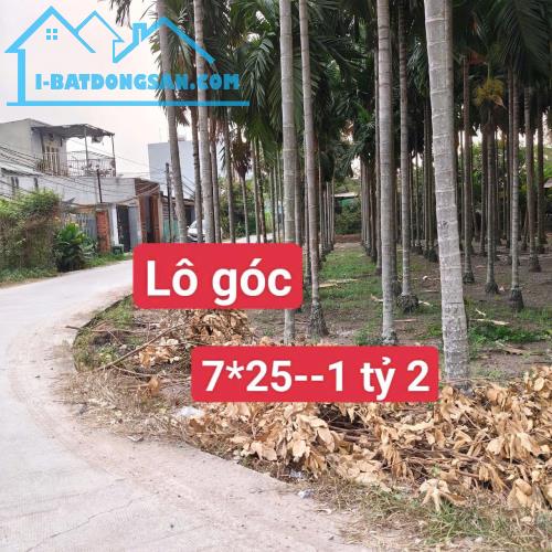 Bất động sản tại Long An - ảnh 1
