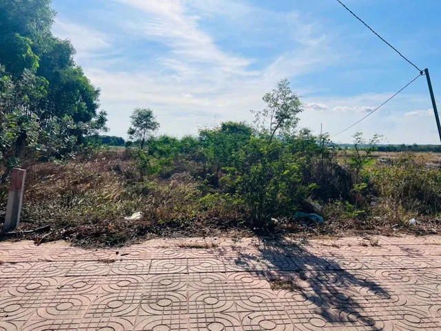 Bất động sản tại TP. Hồ Chí Minh - ảnh 1