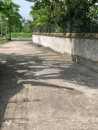 Bất động sản tại Thái Bình - ảnh 1