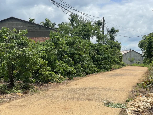 Bất động sản tại Đắk Lắk - ảnh 1