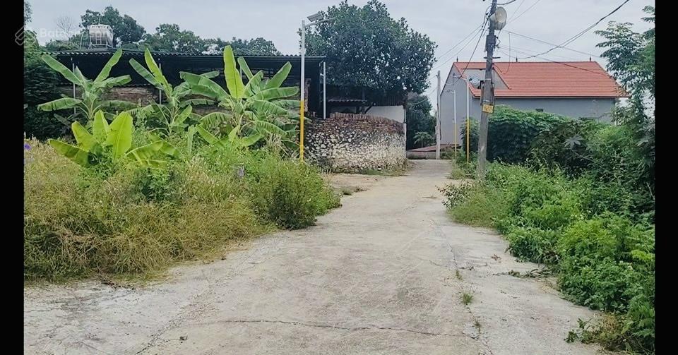 Bất động sản tại Bắc Ninh - ảnh 1