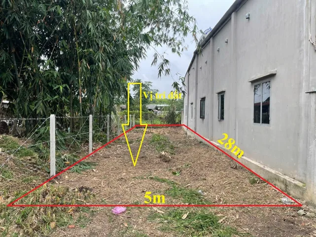 Bất động sản tại Tây Ninh - ảnh 1