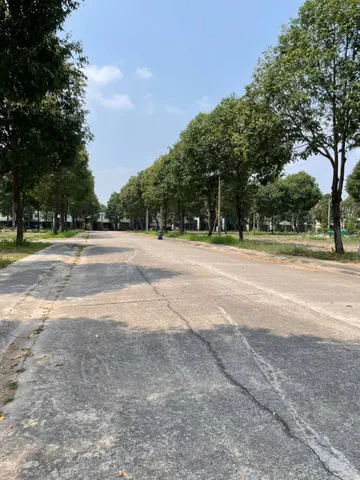 Bất động sản tại Bình Dương - ảnh 1