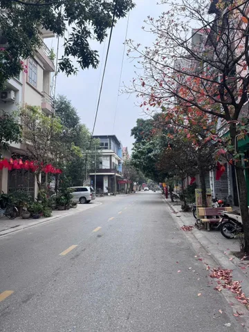 Bất động sản tại Bắc Ninh - ảnh 1