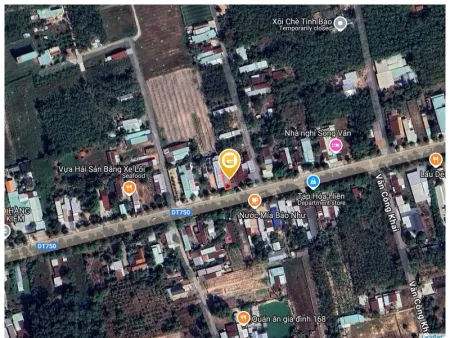 Bất động sản tại Bình Dương - ảnh 1