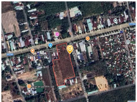 Bất động sản tại Bình Dương - ảnh 1