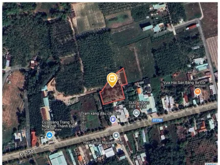 Bất động sản tại Bình Dương - ảnh 1
