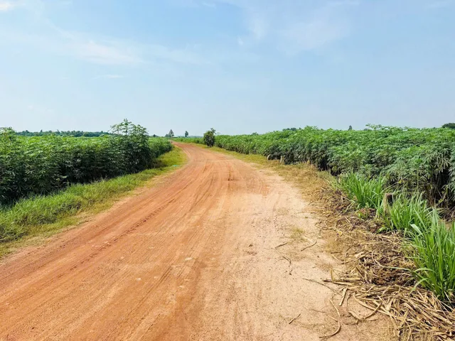 Bất động sản tại Tây Ninh - ảnh 1