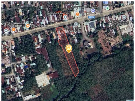 Bất động sản tại Bình Dương - ảnh 1