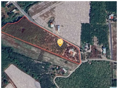 Bất động sản tại Bình Phước - ảnh 1