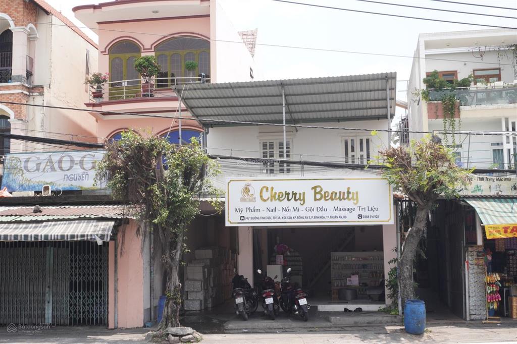 Bất động sản tại Bình Dương - ảnh 1