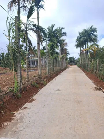 Bất động sản tại Đắk Lắk - ảnh 1