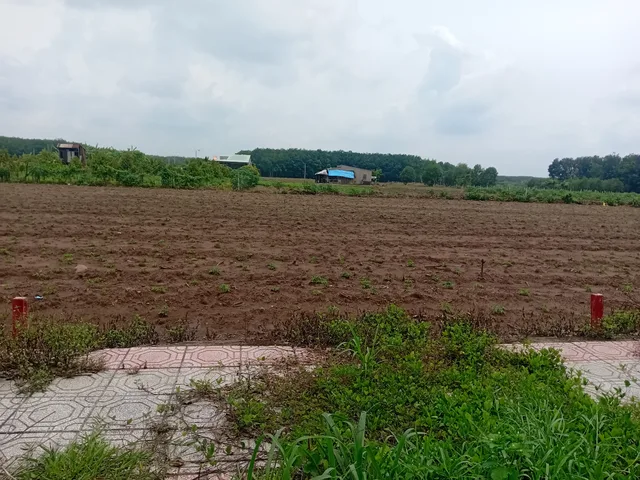 Bất động sản tại Bình Phước - ảnh 1