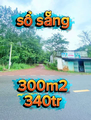 Bất động sản tại Đồng Nai - ảnh 1