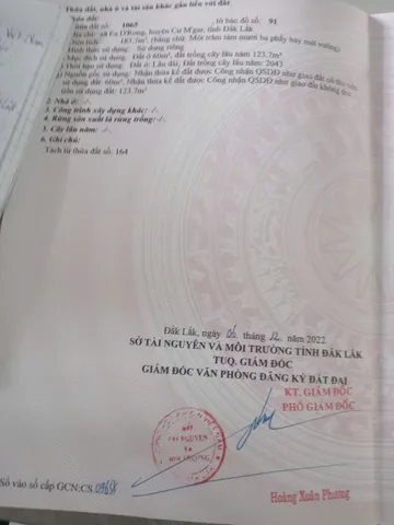 Bất động sản tại Đắk Lắk - ảnh 1