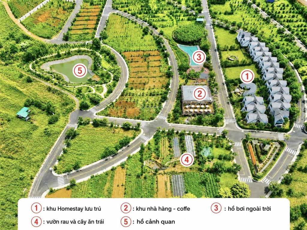 Bất động sản tại Lâm Đồng - ảnh 1