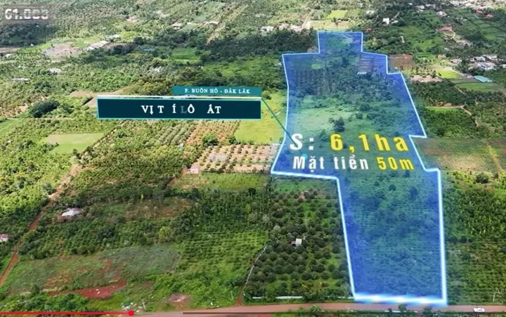 Bất động sản tại Đắk Lắk - ảnh 1