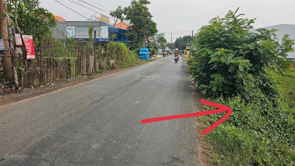 Bất động sản tại Long An - ảnh 1