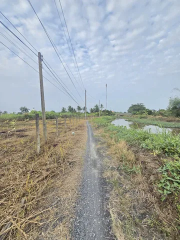 Bất động sản tại Tây Ninh - ảnh 1