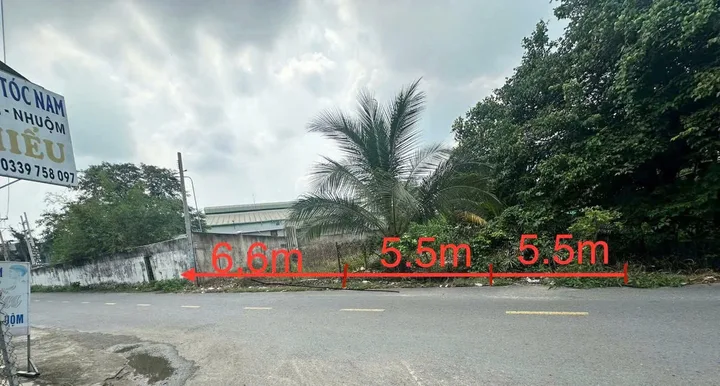 Bất động sản tại Bình Dương - ảnh 1