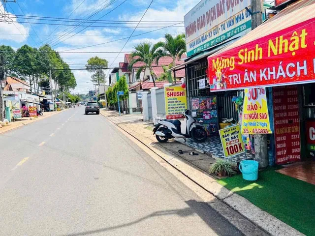 Bất động sản tại Đồng Nai - ảnh 1