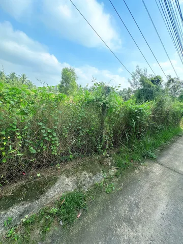 Bất động sản tại Bến Tre - ảnh 1