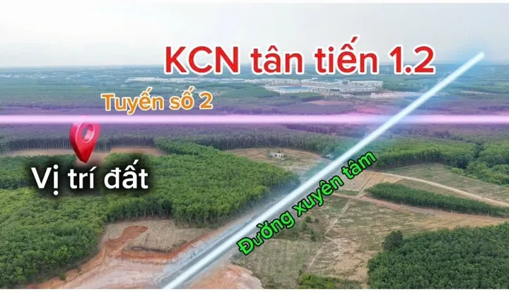 Bất động sản tại Đồng Nai - ảnh 1
