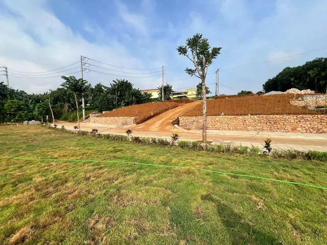 Bất động sản tại Phú Thọ - ảnh 1