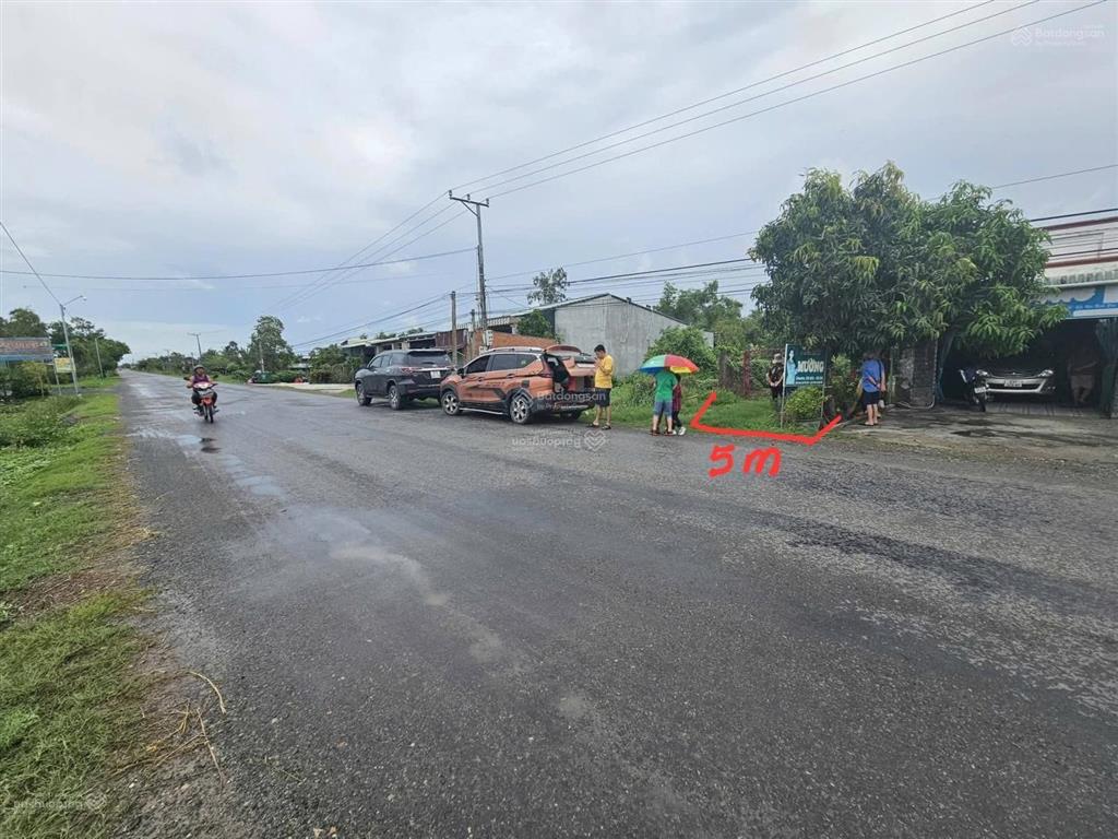 Bất động sản tại Long An - ảnh 1