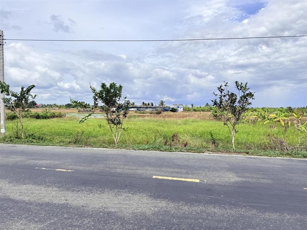 Bất động sản tại Long An - ảnh 1
