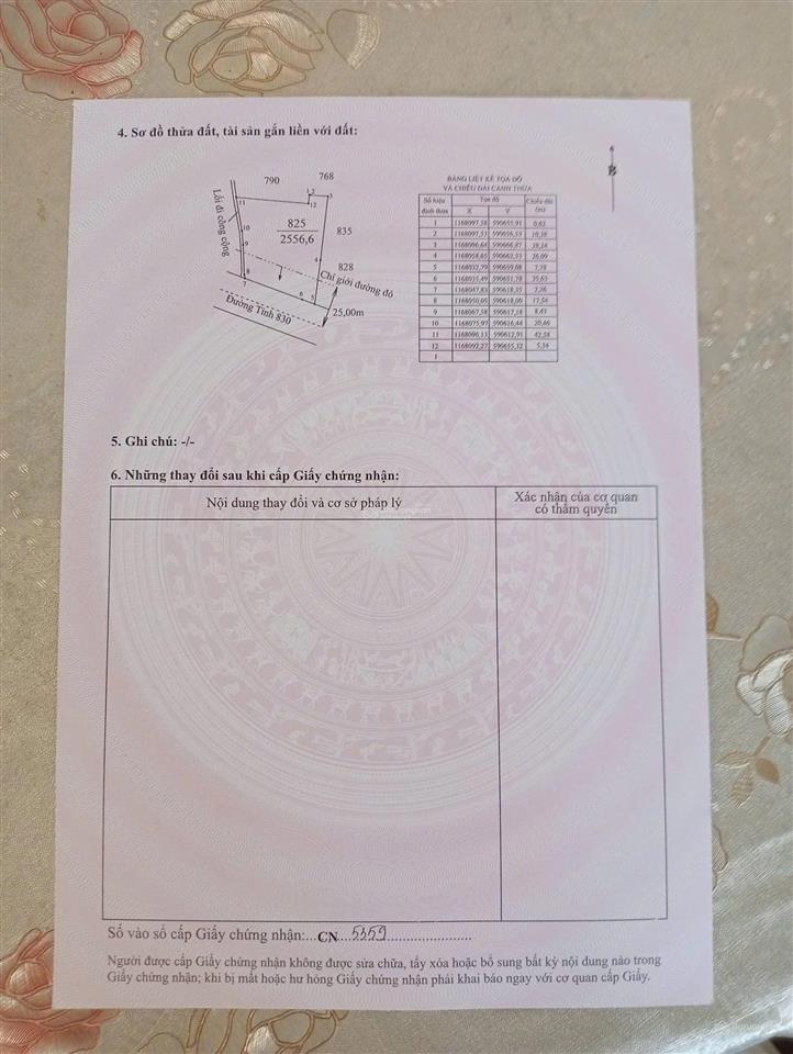 Bất động sản tại Long An - ảnh 1