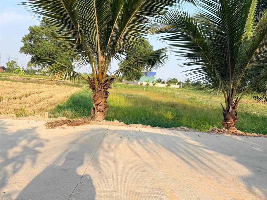 Bất động sản tại Long An - ảnh 1